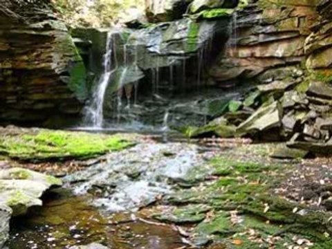 Elakala Waterfalls BlackWater Falls State Park