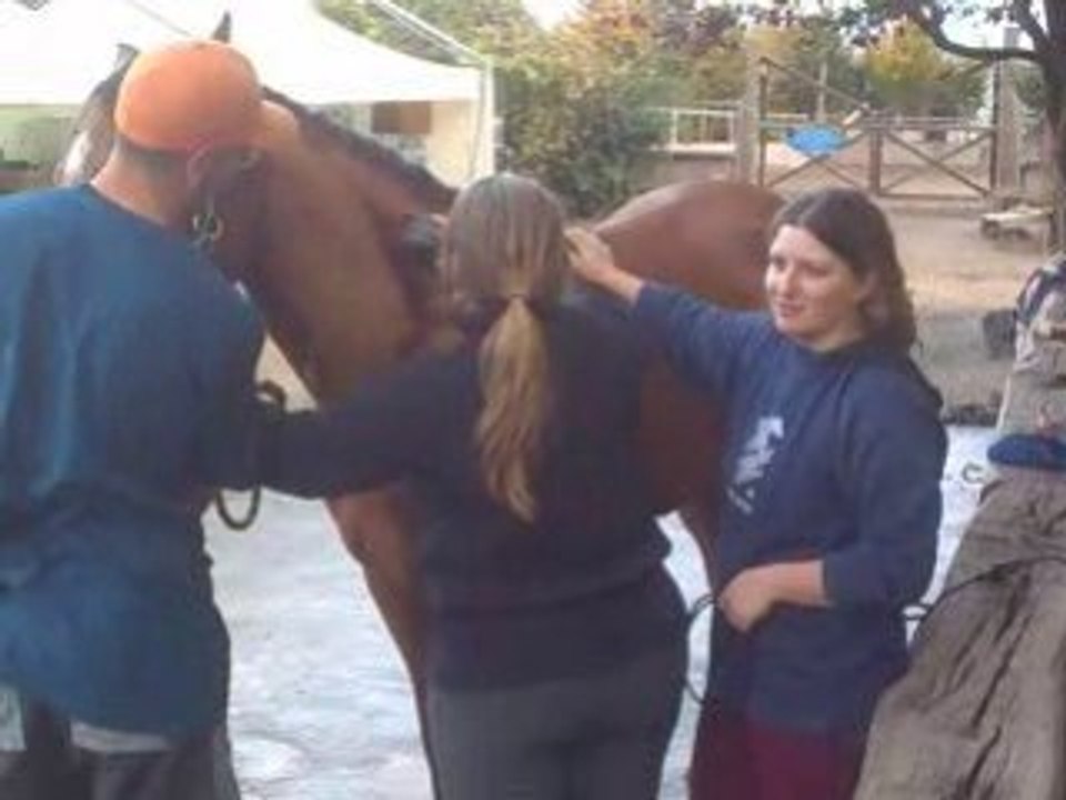 Vérène et Flo Quii ChAnte pOur tOndre Odyssée
