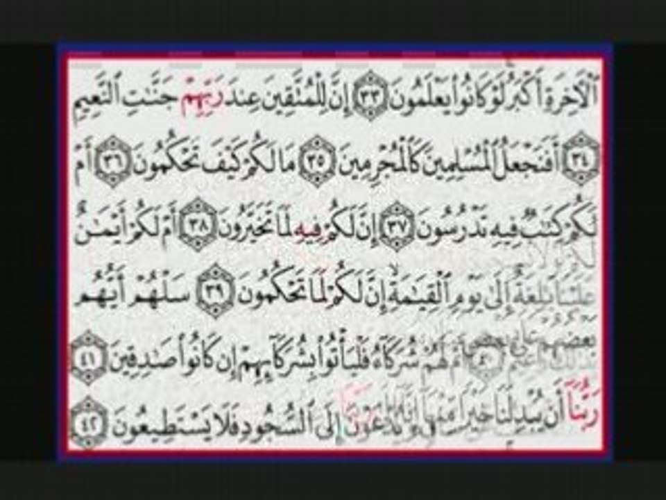 Al-Qalam by Feysal Mohammed