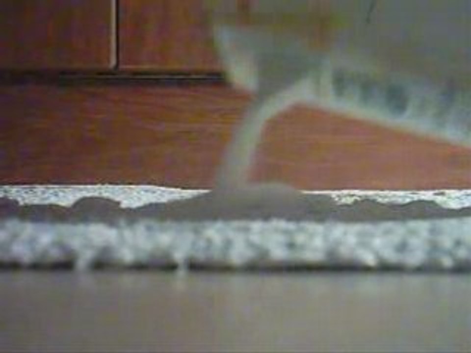 Wash Alone Carpet