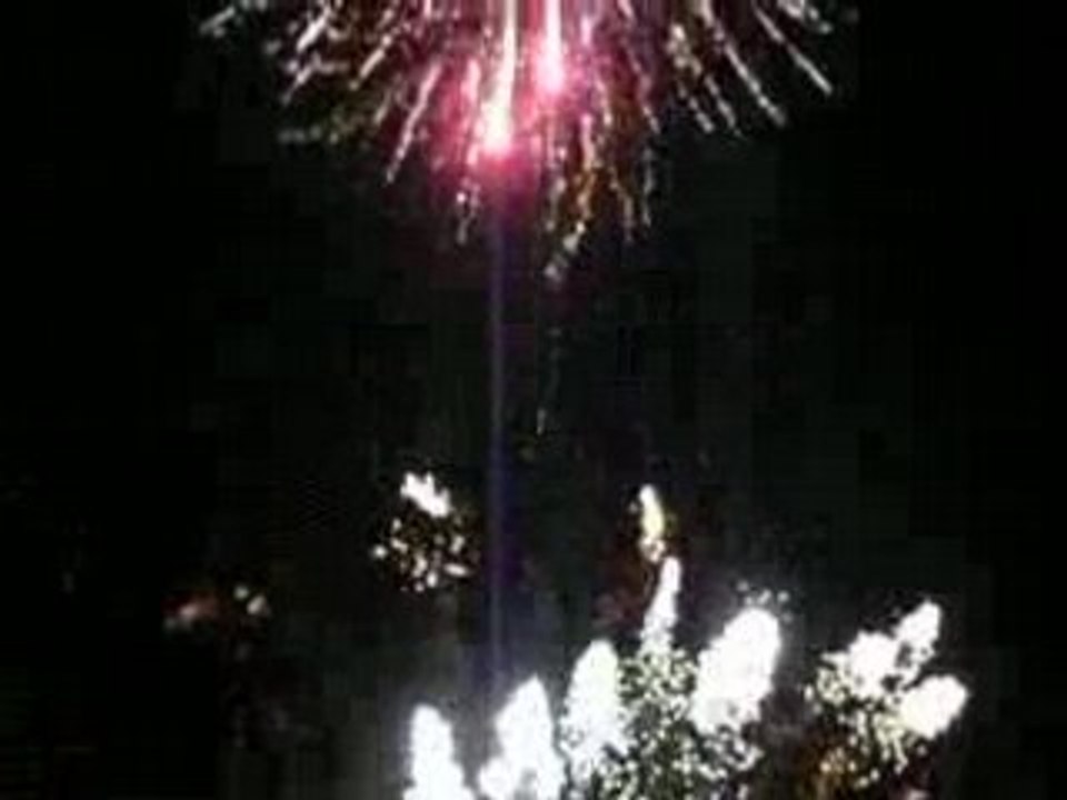 Feu d'artifice Bellewaerde Halloween 2008