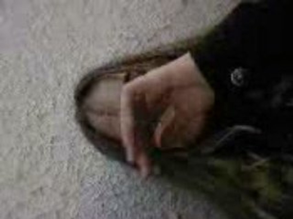 » HEY HELL ET A MOII