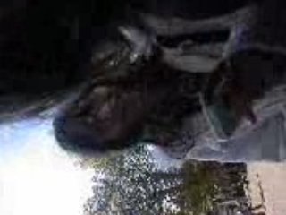 » HEY HELL ET A MOII