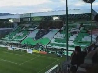 ASSE  "Allez Les verts !"