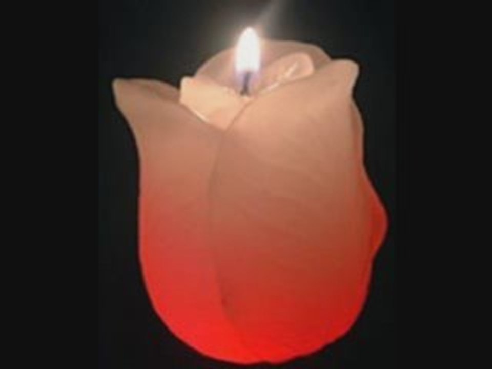 Chamaa kamel messaoudi