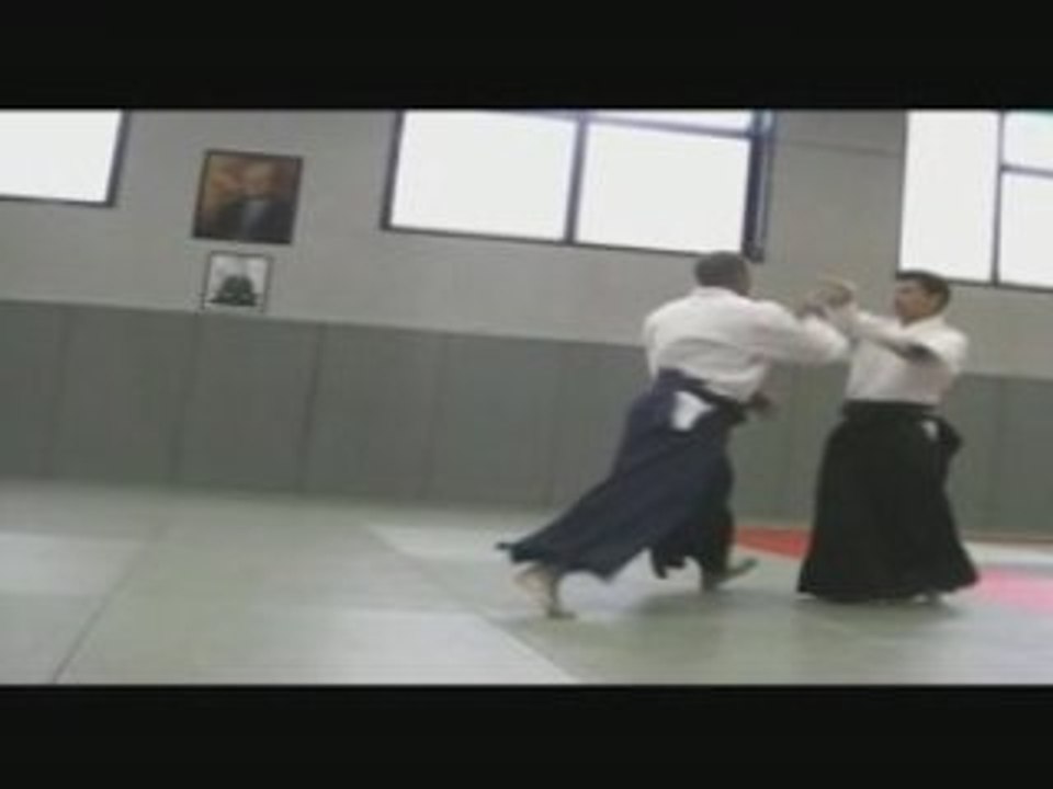 Irimi nage projection aikido