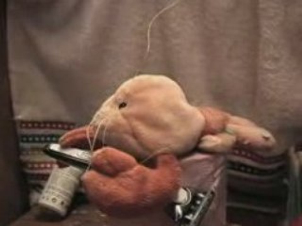 Genica Prod. Toilettes musicales