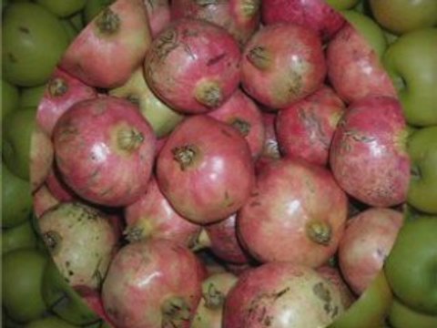 Domates Biber Patlıcan