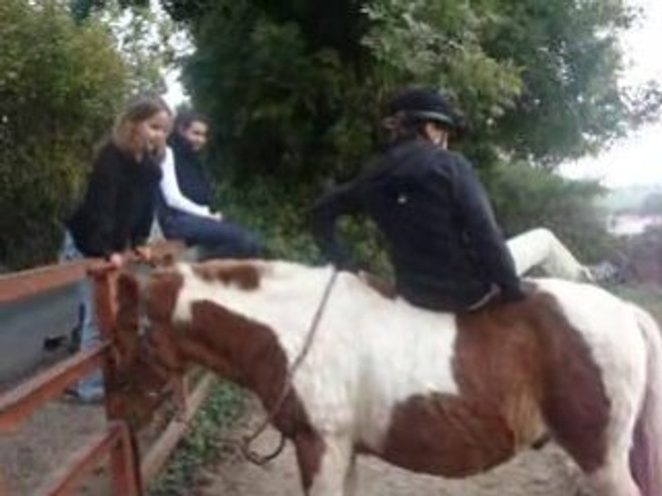Bufalo mon poney.