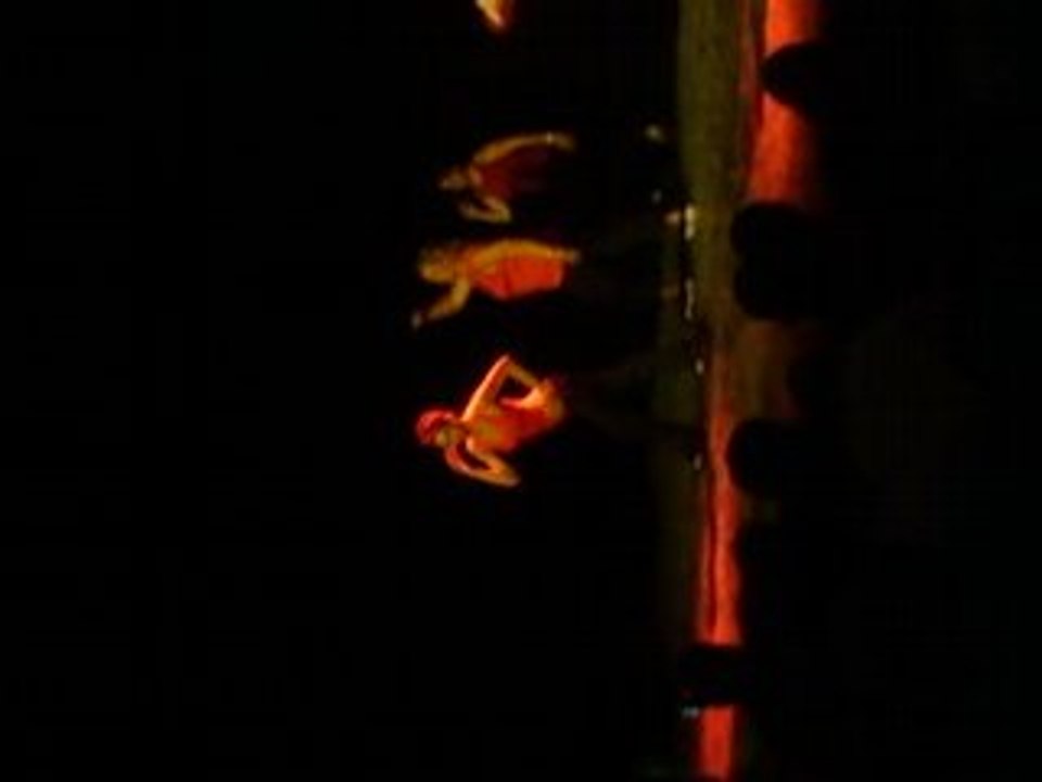 “cha cha cha”tOoP ToOp