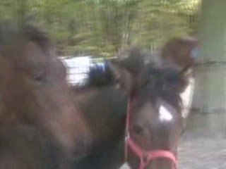 Unpourtous vidéo 0 a 6 mois