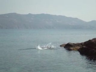 Plongeon à Mykonos, plage d'Agios Sostis