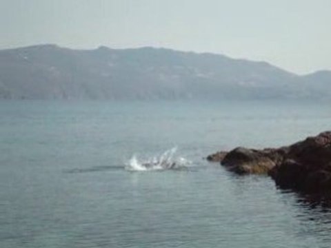 Plongeon à Mykonos, plage d'Agios Sostis