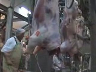 BOUCHERIE SAADA HYERES