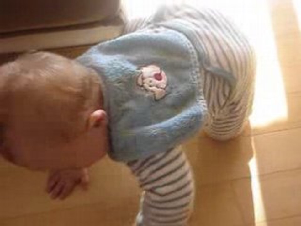 trois quatre ou cinq pattes