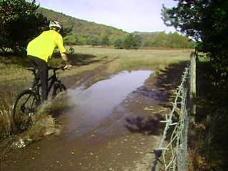 VTT