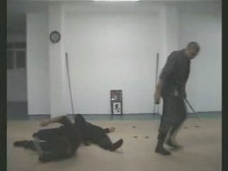 Bujinkan Free training