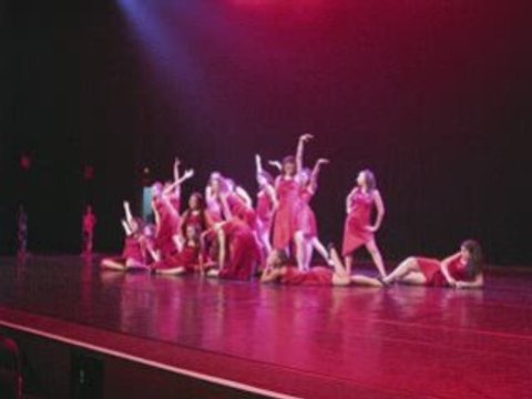 Evolution - Spectacle 2008