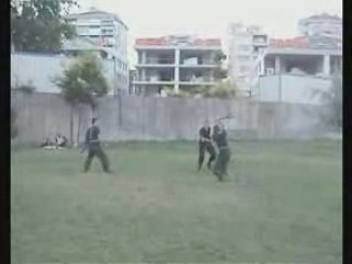 Bujinkan Turkey Dojo mixed free training