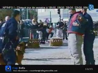 Police de chiens: la  brigade canine à "Grand place"