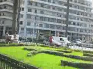 Alger 2008 !!!