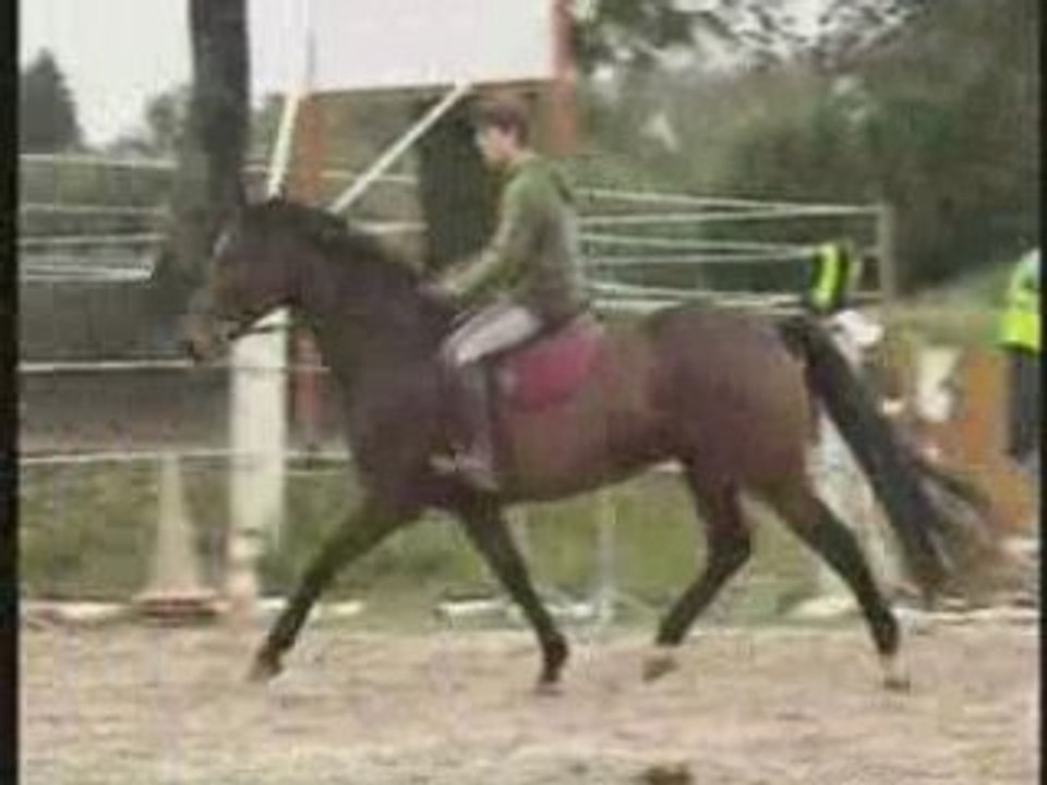 OCEAN SF 6 ANS 1M70 MONTE LUDO 1ER