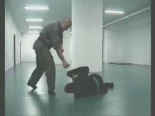 Bujinkan Turkiye muto dori free training