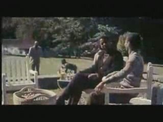 videotop american gangster