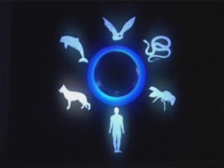 Ощущения. А кто ты?