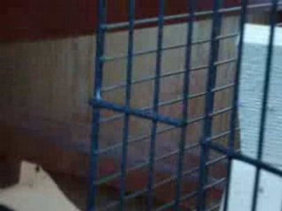 Première sortie de Shiper