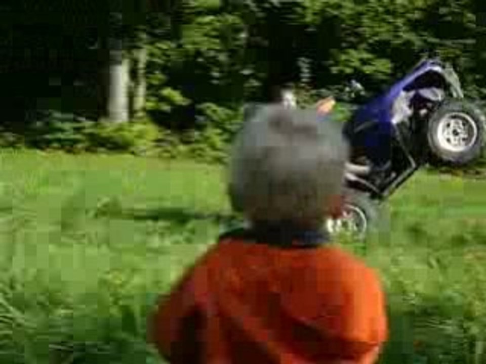 Freestyle grizzly2