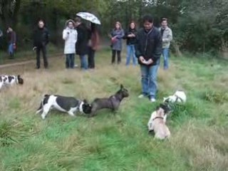 Bouldo savenay 10/2008