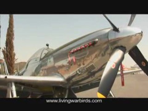 Living Warbirds: P-51 Mustang - Trailer V1
