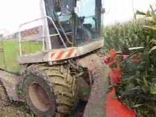Ensilage 2008 012