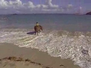 Toska à la mer dimanche 26 oct 2008