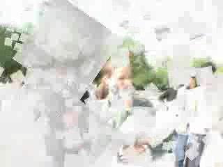 Pillow Fight Paris