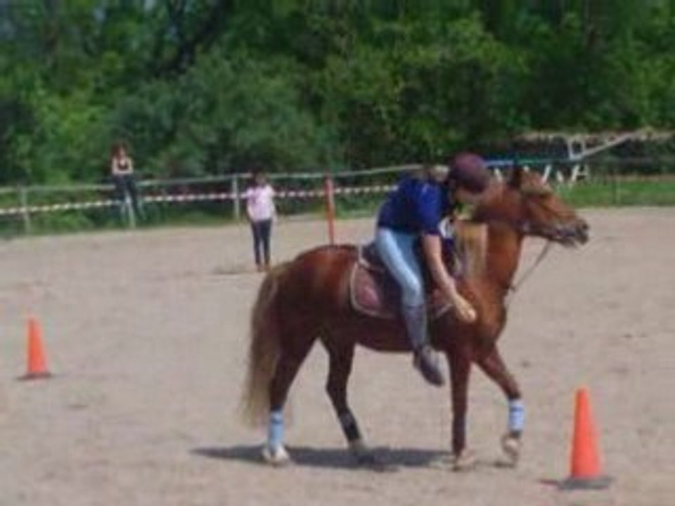 Centre equestre