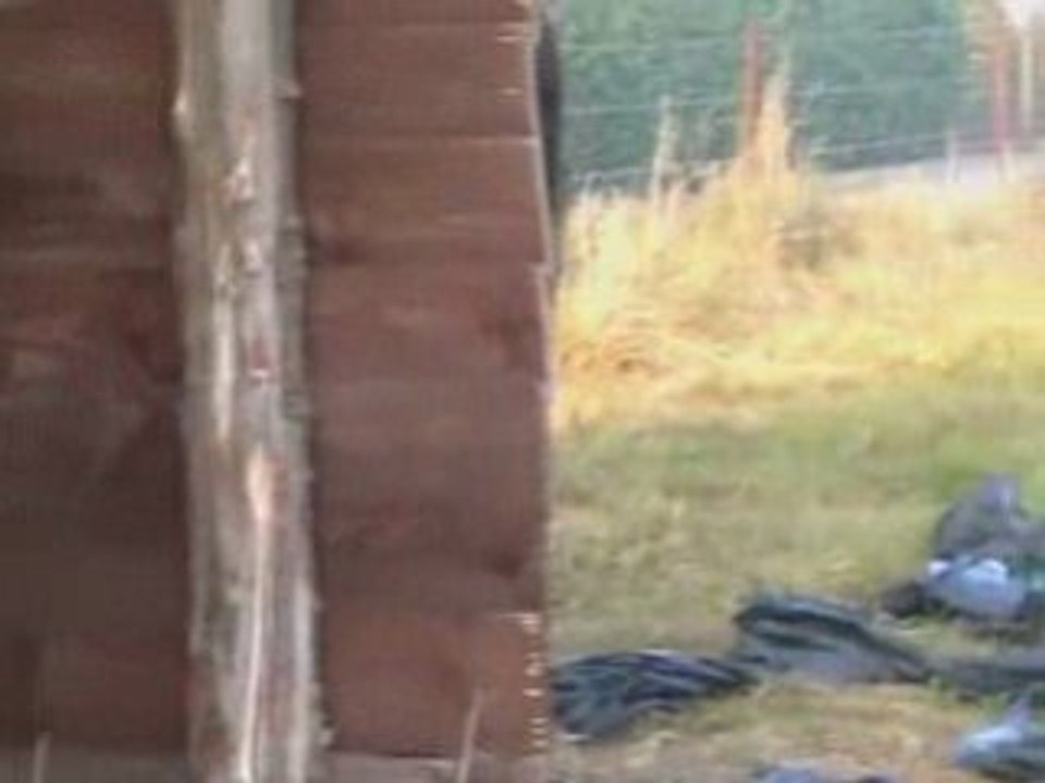 Melba à fond les ballons