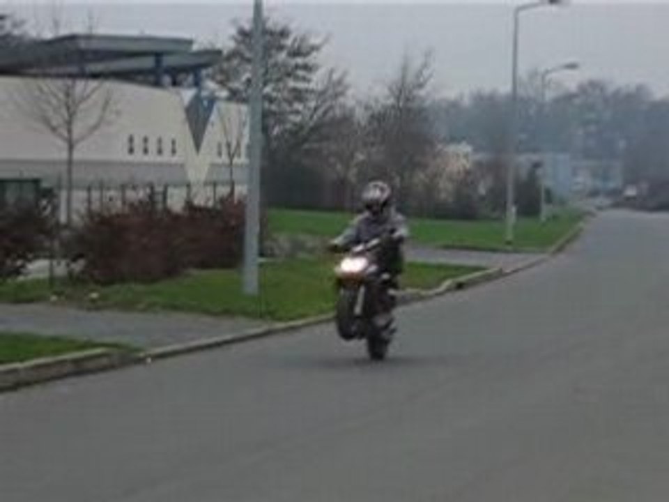 Pedro's wheel tailleur