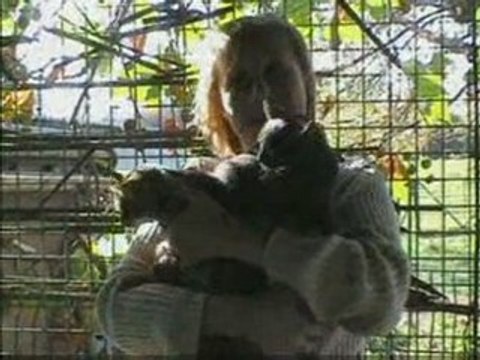 une journée presque comme les autres