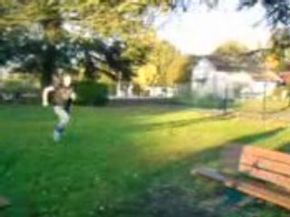 MOV00429