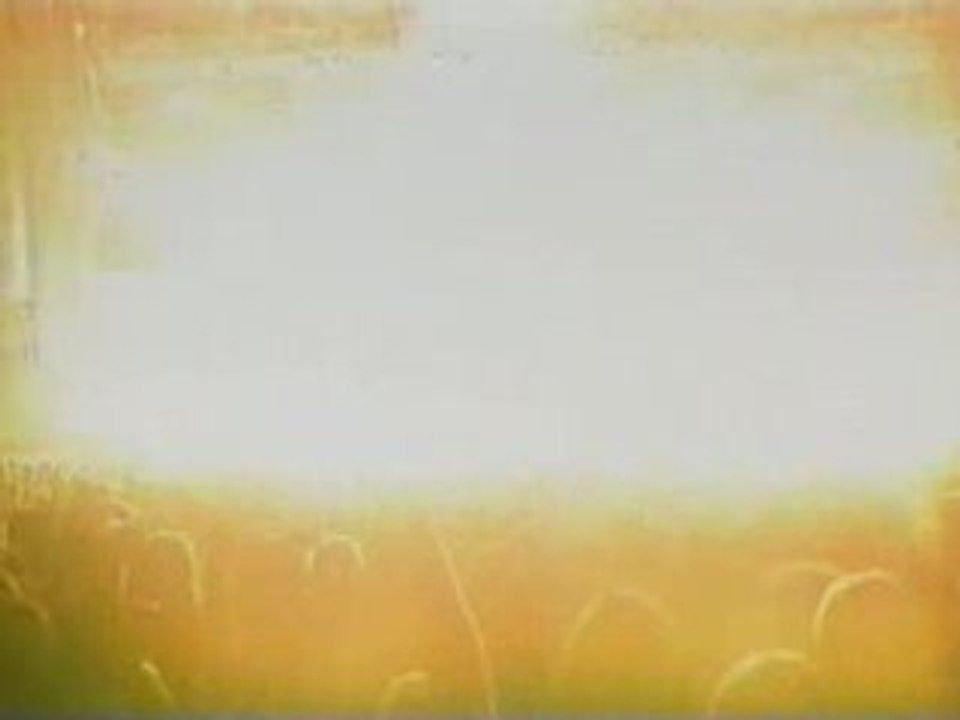 Metallica - Accident pyrotechnique  8/08/92 - Montreal ,Qc.