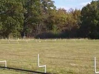 Vanille - Racing 280 mètres