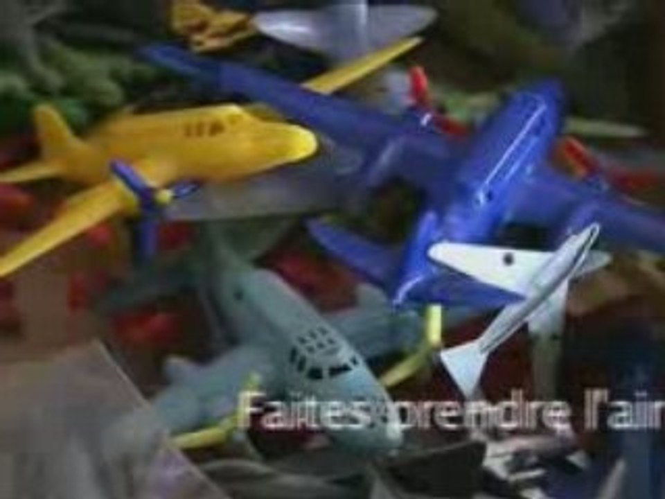 Présentation Aéropuces