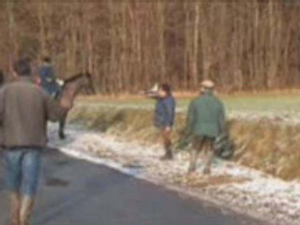 Rameuter (enfin,,,essayer)y'a pas beaucoup de chiens