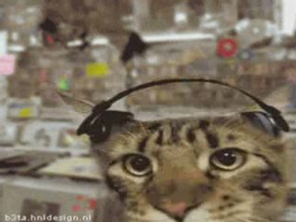 Clip chacha_0001