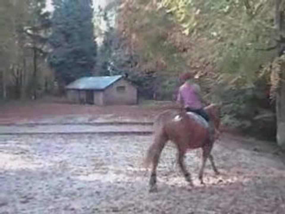 Rando 25 10 08