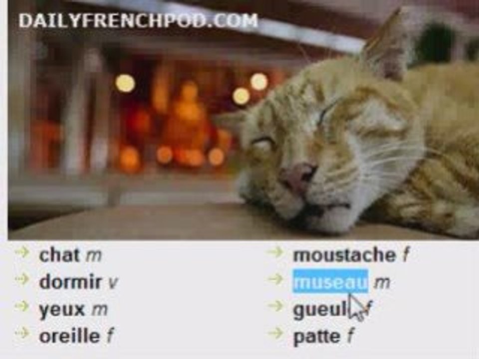 French lessons