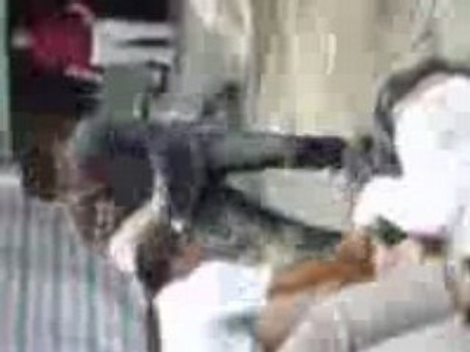 Danhnhau