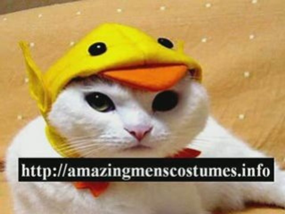 nursery rhyme costumes